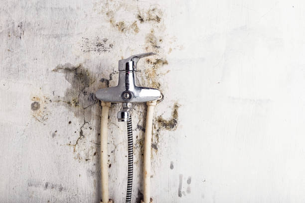 Best Mold Cleaning Services  in Troutman, NC