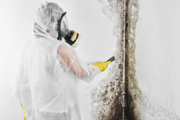 Best Emergency Mold Removal  in Troutman, NC