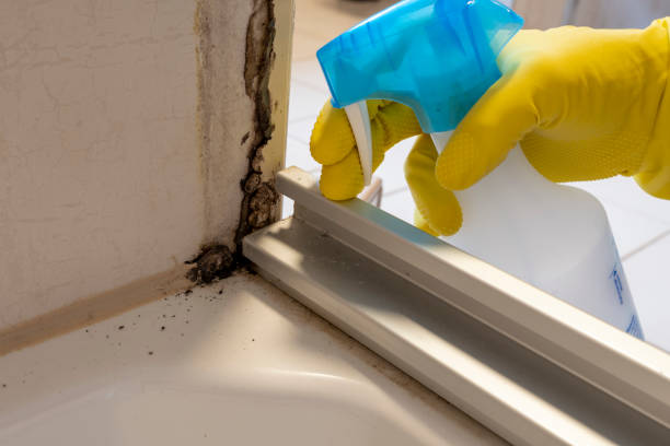 Best Emergency Mold Removal  in Troutman, NC