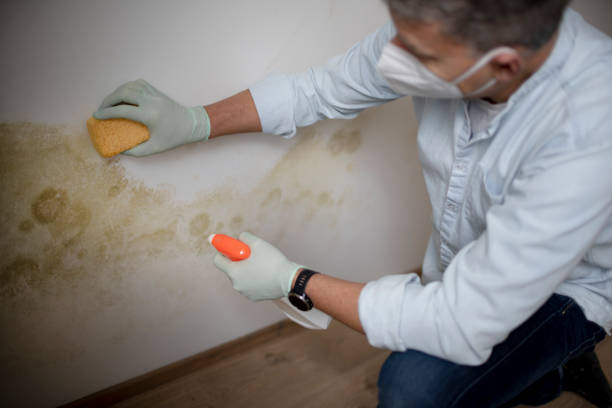Best Mold Testing  in Troutman, NC