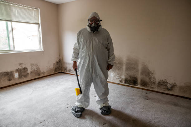 Crawl Space Mold Removal in Troutman, NC