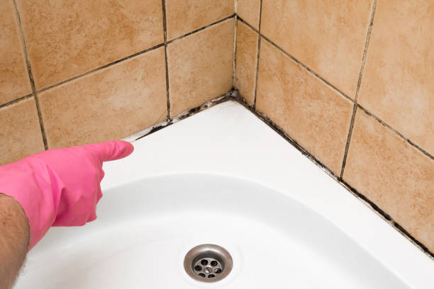  Troutman, NC Mold Removal Pros